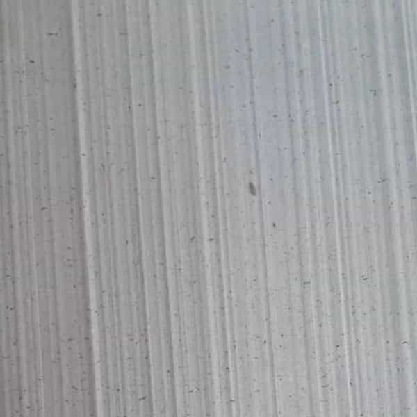 1705995093003.webp