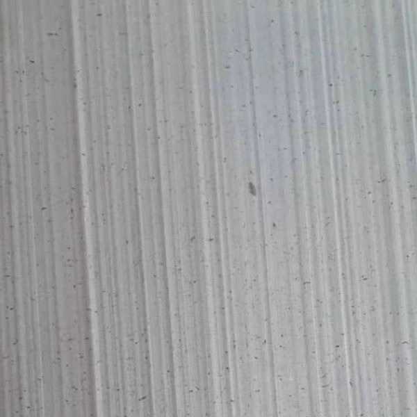 1705995093003.webp